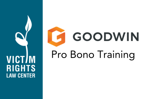 VRLC's logo next to Goodwin's logo, with Pro Bono Training listed underneath.